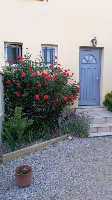 House Of Magic Lake Gréoux-les-Bains Exterior foto